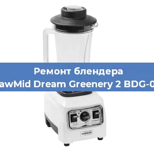 Замена щеток на блендере RawMid Dream Greenery 2 BDG-03 в Нижнем Новгороде